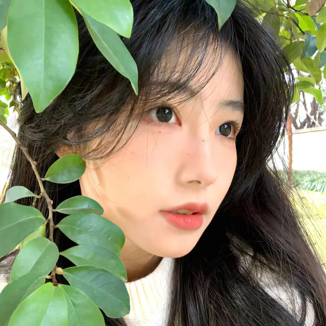 古装奇幻区